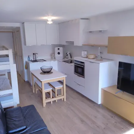 Au Pied Des Pistes Apartment Laveissiere