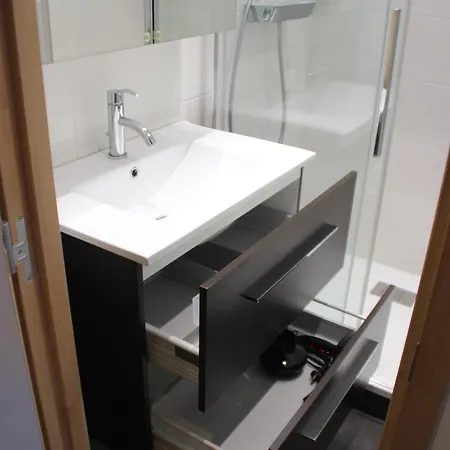 Au Pied Des Pistes Apartment Laveissiere