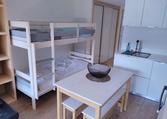 Au Pied Des Pistes Laveissiere