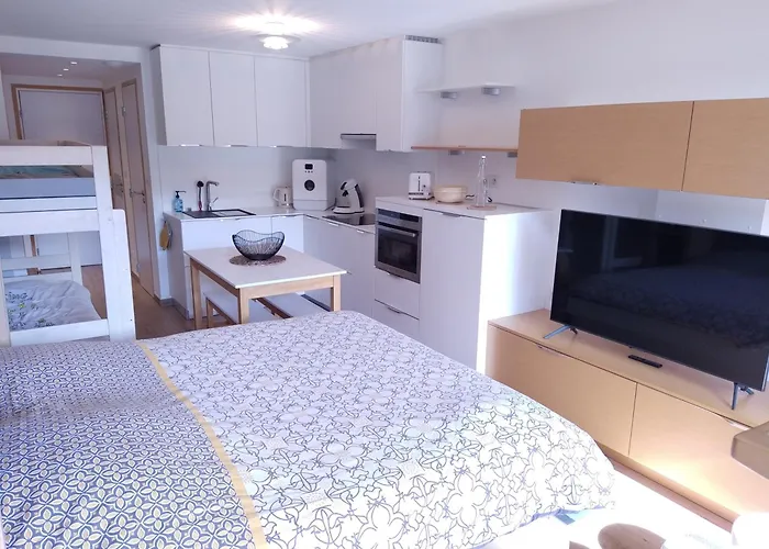 Au Pied Des Pistes Laveissiere