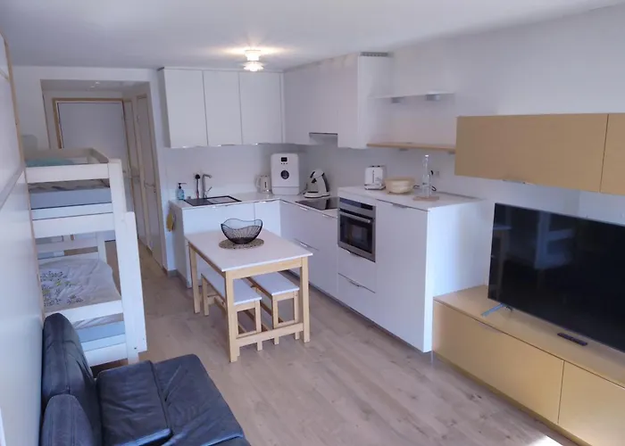 Au Pied Des Pistes Apartment Laveissiere